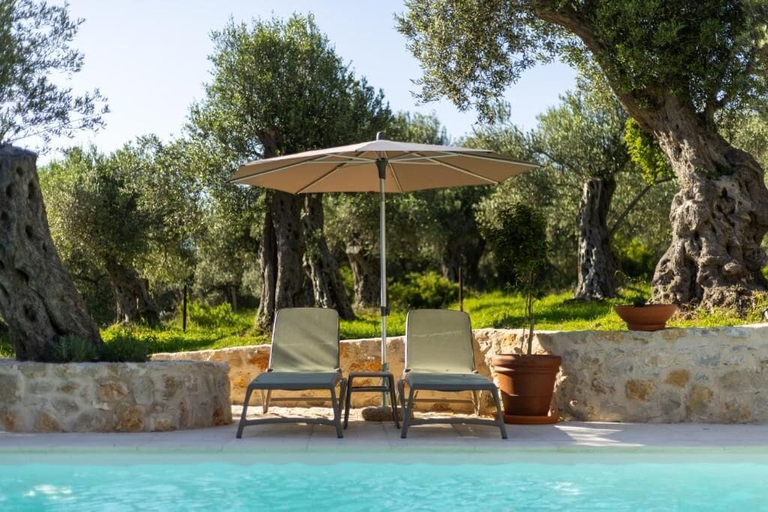 Sport & Beauty 5, MASHTRA - The Olive House