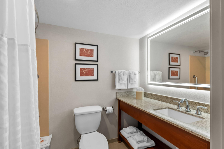Bathroom 4, Comfort Suites Near Potomac Mills, Prince William