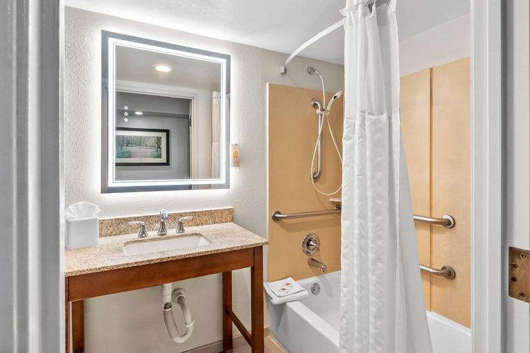 Bathroom 4, Comfort Suites Near Potomac Mills, Prince William