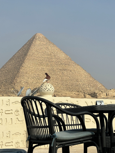 Exterior & Views, solima pyramids inn, Unorganized in Al Jizah