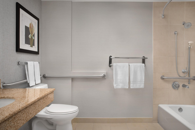 Bathroom 4, Hilton Garden Inn Tallahassee Central, Leon