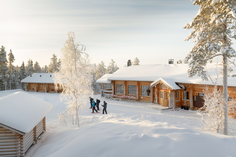 Others 4, Basecamp Oulanka, Northern Ostrobothnia