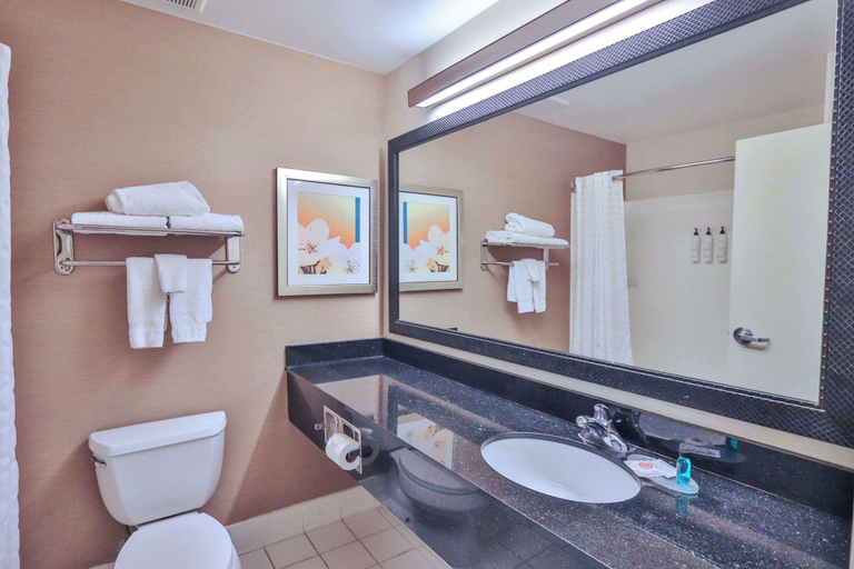 Bathroom 5, Comfort Inn & Suites Houston North - Spring, Houston