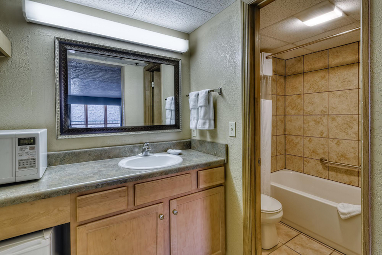 Bathroom 4, Accommodations By Willow Brook Lodge, Sevier