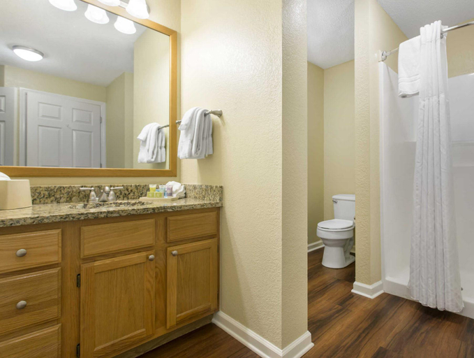 Bathroom 4, Bear Mount Inn & Suites, Sevier