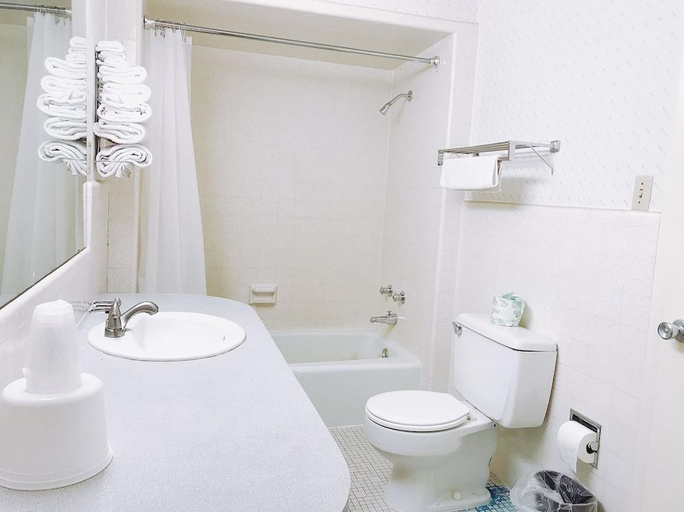 Bathroom 5, Appletree Inn, Sevier