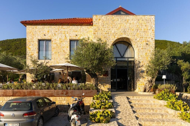 Exterior & Views 2, MASHTRA - The Olive House
