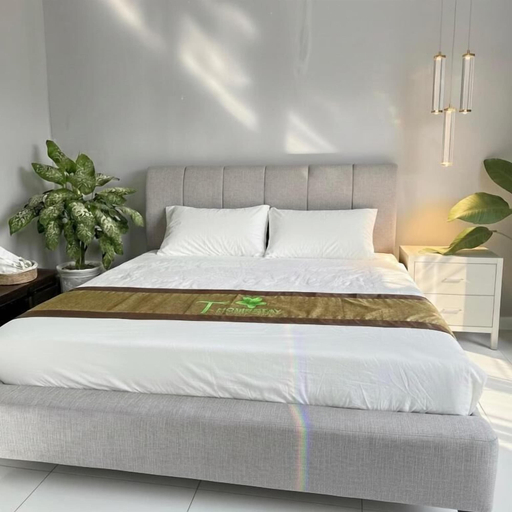 Room 4, T Homestay Bình Minh Xanh, Đức Hòa