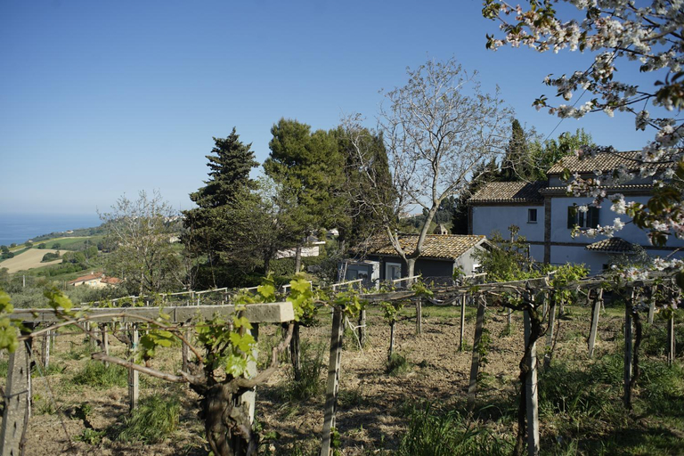 Others 3, PODERE Sant'Anna B&B -Bambu room, Teramo