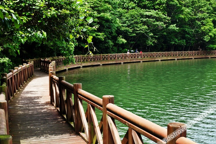 Sport & Beauty, Wandonesia, Wando