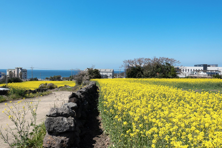 Exterior & Views 2, Jeju Sky Kids Pension, Jeju