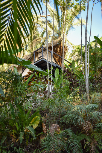 Others 5, Bohemia Experience, Puntarenas