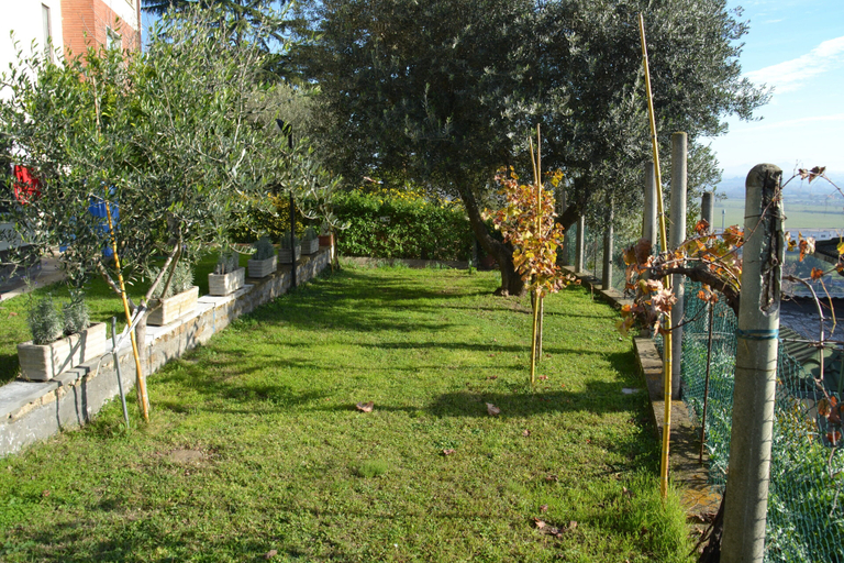 Exterior & Views 1, A1-GIRASOLE BED AND BREAKFAST, Rome
