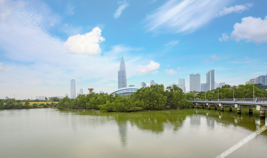 Others 5, Yiwan Service Apartment, Shenzhen