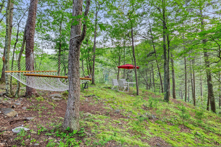 Room 2, Waterfall Views Hot Tub Game Room Dog Friendly, Pike