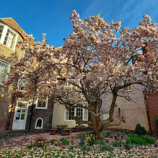 Exterior 3, St John's College, Durham