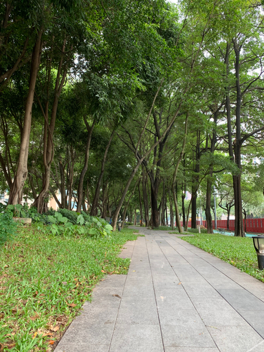 Others 5, ホテル(センクリエイティブ), Shenzhen