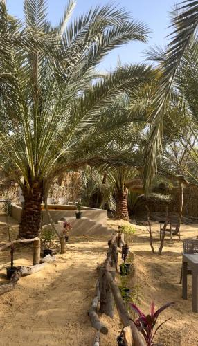 Others 3, Siwa Palace Lodge, Siwa