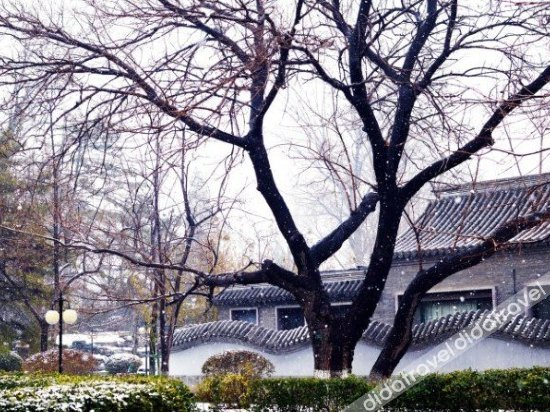 外���, Dayuan Hotel, Beijing