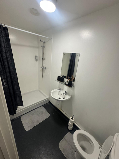 Bathroom, 248 Halls, Middlesbrough