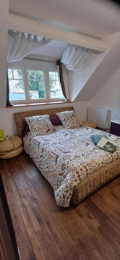 Bedroom 1, 18 chateaux et Beauval sur un rayon de 30 km, Loir-et-Cher