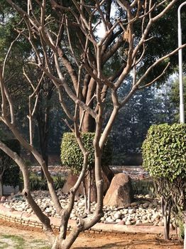 Others 2, Kcg Heritage, Delhi