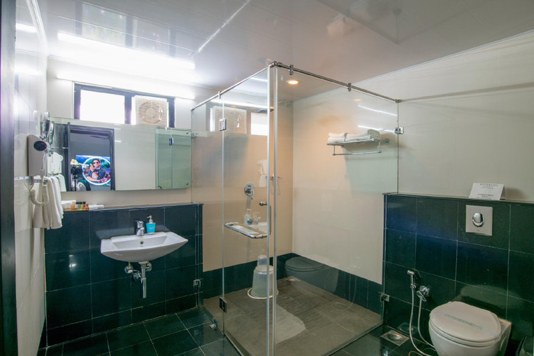 Bathroom 5, The Silvertips, Idukki