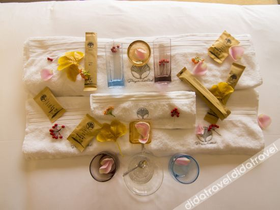 Others 2, Platinum Ya Hotel, Fuyang