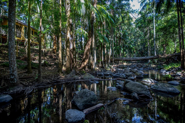 4, Tamborine Mountain Glades, Tamborine Mountain