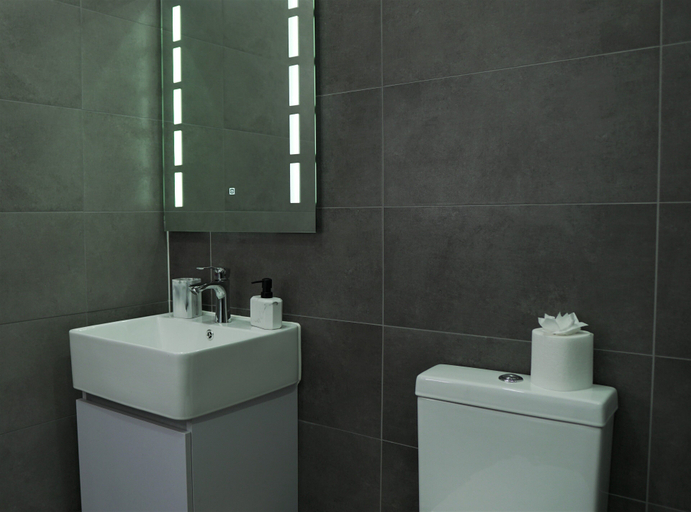 Bathroom 4, Sapphire House Apartments, Telford and Wrekin