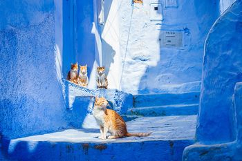 Others 4, Casa Meryem, Chefchaouen