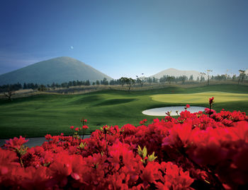 Others 5, Elysian Jeju Golftel, Jeju