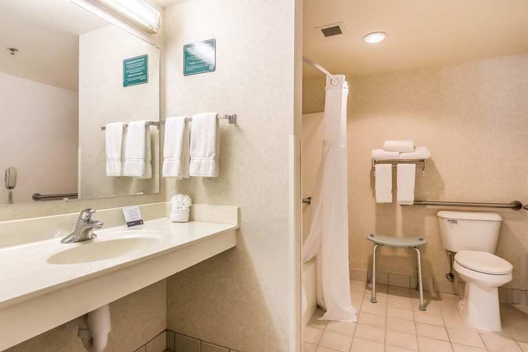 Bathroom 2, Clarion Suites Central, Dane