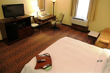 Others 3, Hampton Inn & Suites Houston Katy, Houston