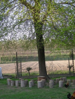 Others 4, Agriturismo Le Clementine, Rovigo