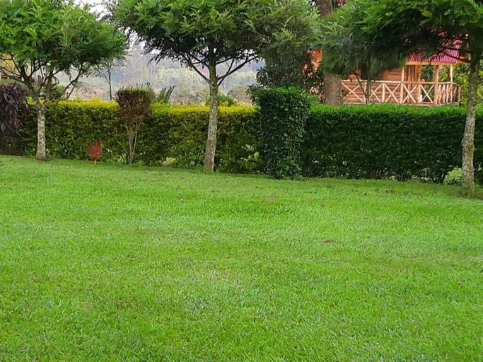 Property grounds 2, Nature Flows Eco-farm Cottage & campsite, Burahya