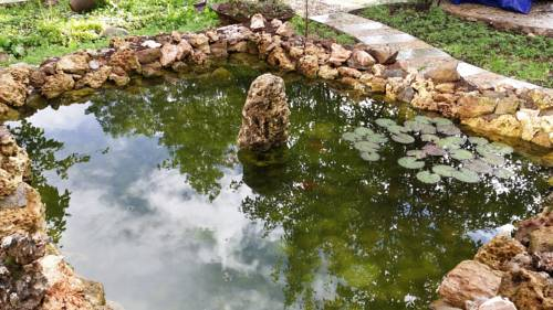 Garden 5, Qinglu Courtyard Hotel, Lijiang