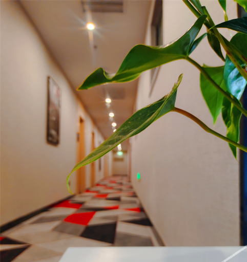 Others 5, Shankee Hotel (Linyi Beiyuan Road), Linyi