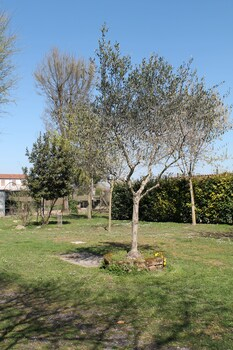 Others 5, Agriturismo Le Clementine, Rovigo