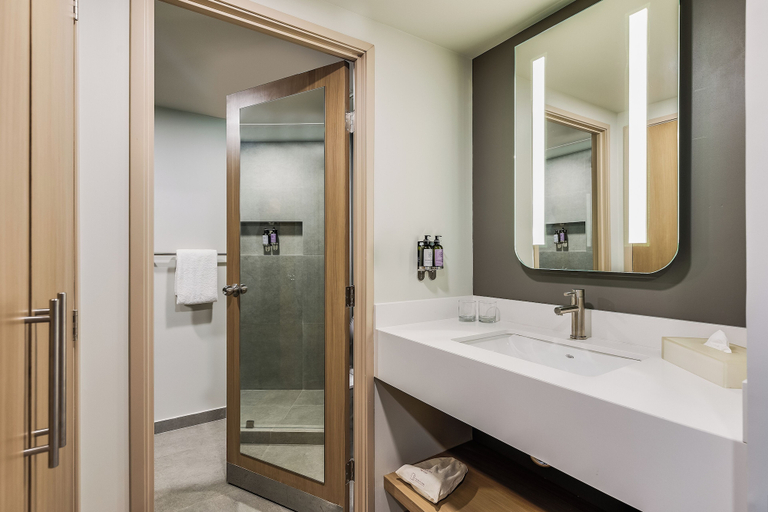 Bathroom 4, Fiesta Inn Monterrey La Fe, San Nicolás de los Garza