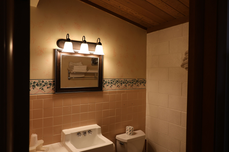 Bathroom 3, Bonne Belle Motel, Washington