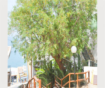 Exterior 3, Elounda Apartments, Crete