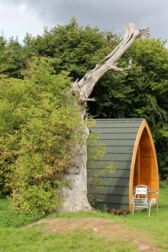 Sport & Beauty 4, Broadstone Park Camping & Fishery, Monmouthshire