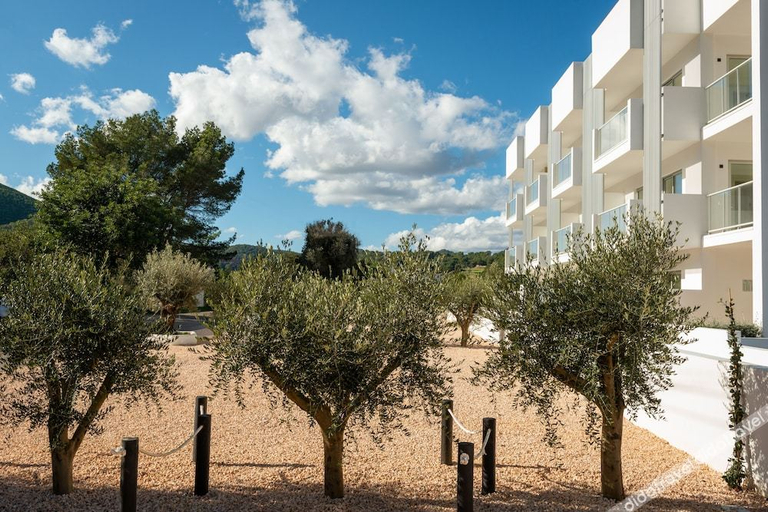 Exterior & Views 2, The Olive Boutique Suites and Spa, Baleares