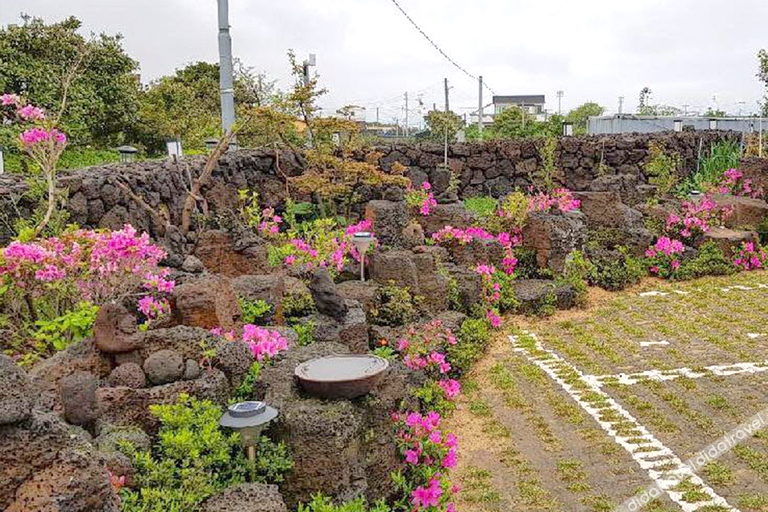 Others 4, Jeju Hanttobagi Guest House, Jeju