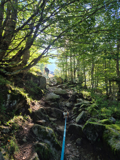 Others 2, Biert La Coume, Ariège
