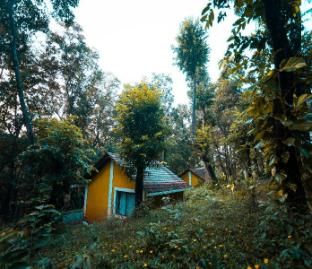 Others 4, The Earthen Nest, South Goa