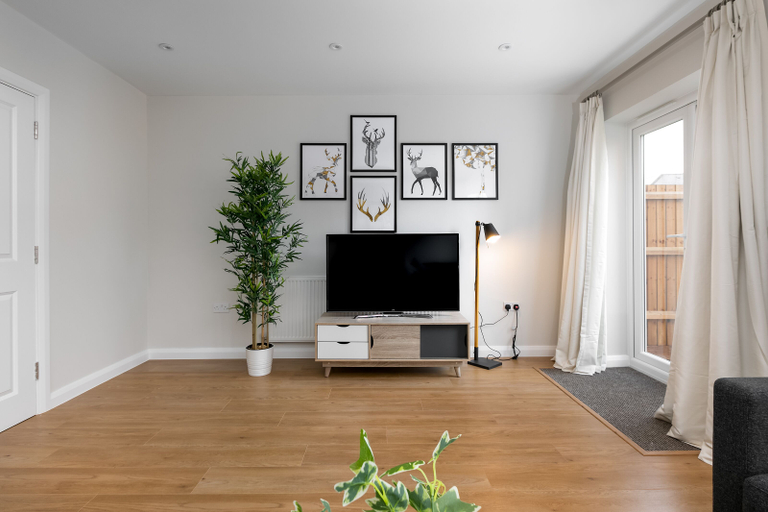 Others 3, Turtle and Rabbit - Comfortable and Spacious Houses, Slough