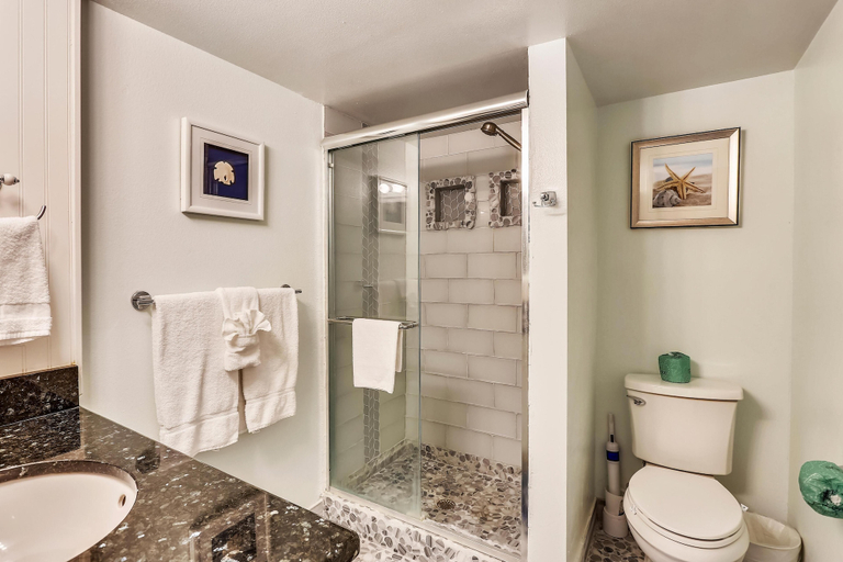 Bathroom 5, Seahorse 401, Pinellas