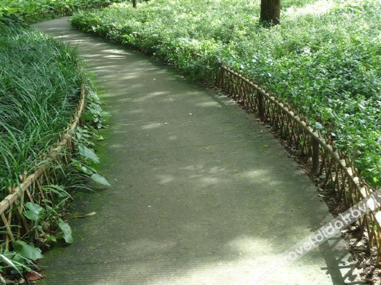 其他 5, Putuo Mount Pantuo Yuan, Zhoushan